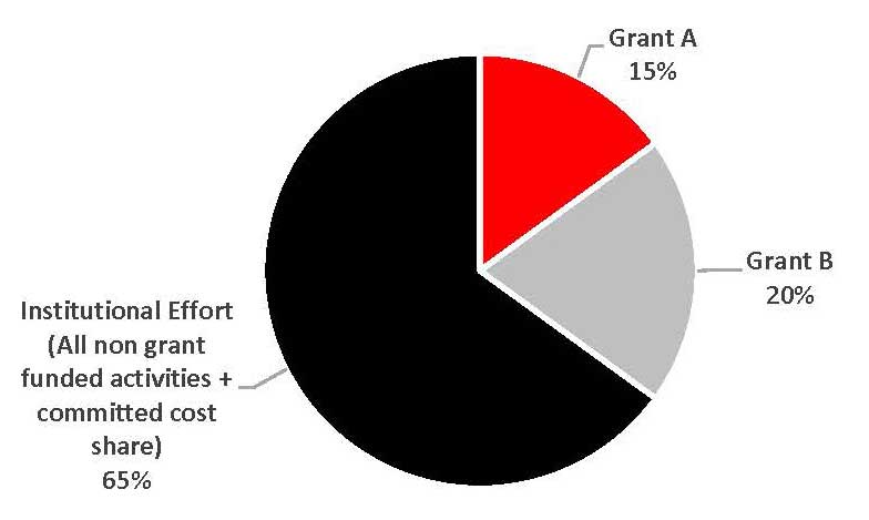 Effort Report Pie Chart. 15% Grant A, red. 20% Grant B, grey. 65% Institutional Effort, Black.